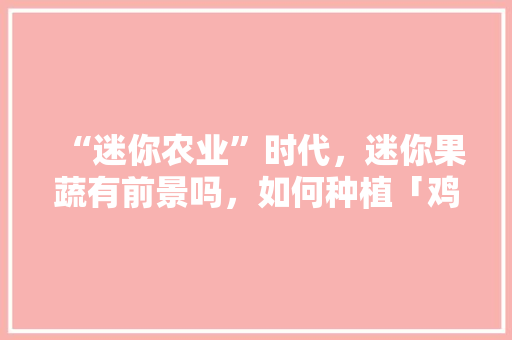 “迷你农业”时代，迷你果蔬有前景吗，如何种植「鸡心番茄怎么种植视频」