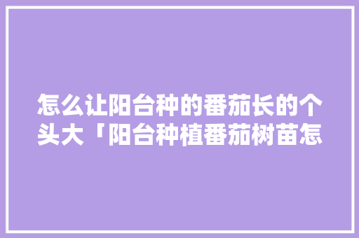 怎么让阳台种的番茄长的个头大「阳台种植番茄树苗怎么养护」 怎么让阳台种的番茄长的个头大「阳台种植番茄树苗怎么养护」 土壤施肥