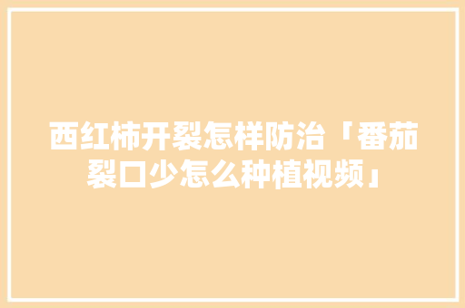 西红柿开裂怎样防治「番茄裂口少怎么种植视频」 西红柿开裂怎样防治「番茄裂口少怎么种植视频」 土壤施肥