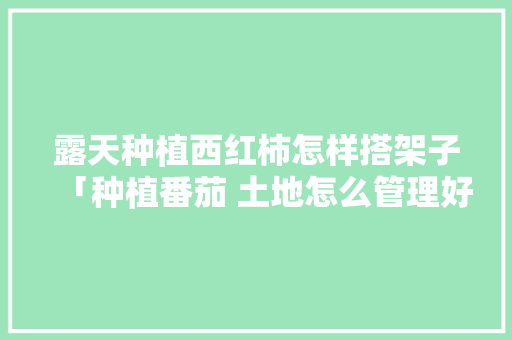 露天种植西红柿怎样搭架子「种植番茄 土地怎么管理好」 露天种植西红柿怎样搭架子「种植番茄 土地怎么管理好」 土壤施肥