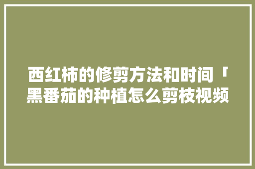 西红柿的修剪方法和时间「黑番茄的种植怎么剪枝视频」 西红柿的修剪方法和时间「黑番茄的种植怎么剪枝视频」 植物种类