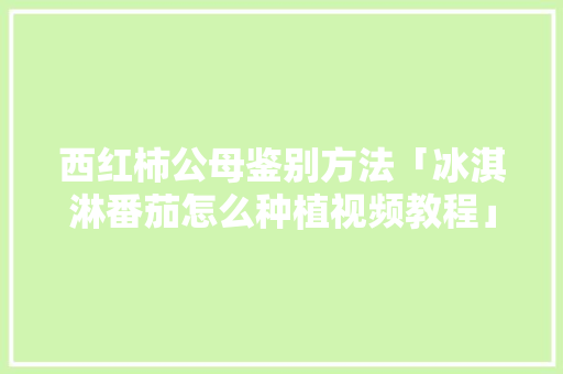 西红柿公母鉴别方法「冰淇淋番茄怎么种植视频教程」 西红柿公母鉴别方法「冰淇淋番茄怎么种植视频教程」 种植技巧