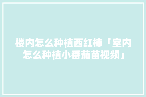 楼内怎么种植西红柿「室内怎么种植小番茄苗视频」 楼内怎么种植西红柿「室内怎么种植小番茄苗视频」 种植技巧