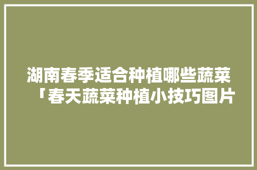 湖南春季适合种植哪些蔬菜「春天蔬菜种植小技巧图片大全」 湖南春季适合种植哪些蔬菜「春天蔬菜种植小技巧图片大全」 花朵知识