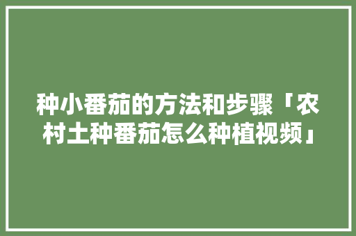 种小番茄的方法和步骤「农村土种番茄怎么种植视频」 种小番茄的方法和步骤「农村土种番茄怎么种植视频」 花朵知识