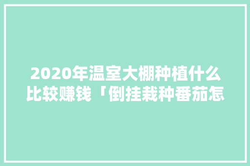2020年温室大棚种植什么比较赚钱「倒挂栽种番茄怎么种植视频」