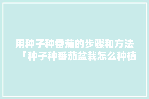 用种子种番茄的步骤和方法「种子种番茄盆栽怎么种植视频」 植物种类 用种子种番茄的步骤和方法「种子种番茄盆栽怎么种植视频」 用种子种番茄的步骤和方法「种子种番茄盆栽怎么种植视频」 植物种类