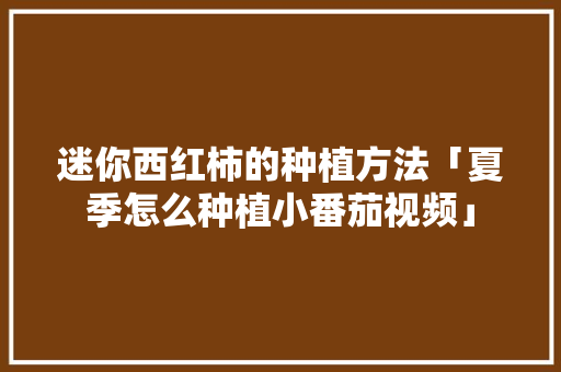 迷你西红柿的种植方法「夏季怎么种植小番茄视频」 迷你西红柿的种植方法「夏季怎么种植小番茄视频」 番茄种植技巧
