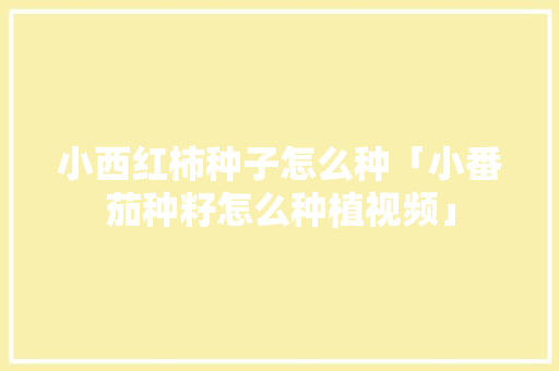 小西红柿种子怎么种「小番茄种籽怎么种植视频」 小西红柿种子怎么种「小番茄种籽怎么种植视频」 土壤施肥