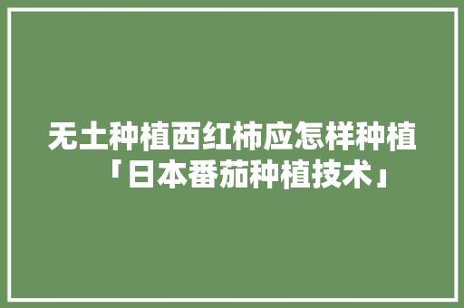 无土种植西红柿应怎样种植「日本番茄种植技术」 无土种植西红柿应怎样种植「日本番茄种植技术」 农业常识