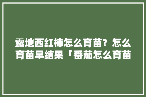 露地西红柿怎么育苗？怎么育苗早结果「番茄怎么育苗秋季种植呢」 露地西红柿怎么育苗？怎么育苗早结果「番茄怎么育苗秋季种植呢」 土壤施肥