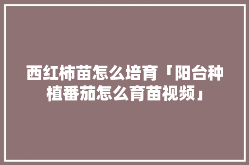 西红柿苗怎么培育「阳台种植番茄怎么育苗视频」 西红柿苗怎么培育「阳台种植番茄怎么育苗视频」 农业常识