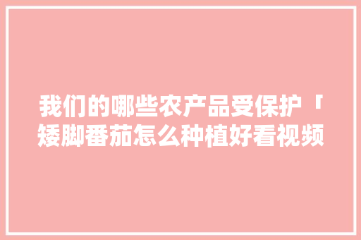 我们的哪些农产品受保护「矮脚番茄怎么种植好看视频」 我们的哪些农产品受保护「矮脚番茄怎么种植好看视频」 种植技巧