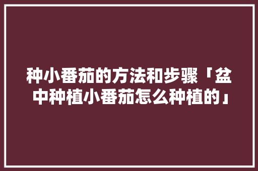 种小番茄的方法和步骤「盆中种植小番茄怎么种植的」 种小番茄的方法和步骤「盆中种植小番茄怎么种植的」 土壤施肥
