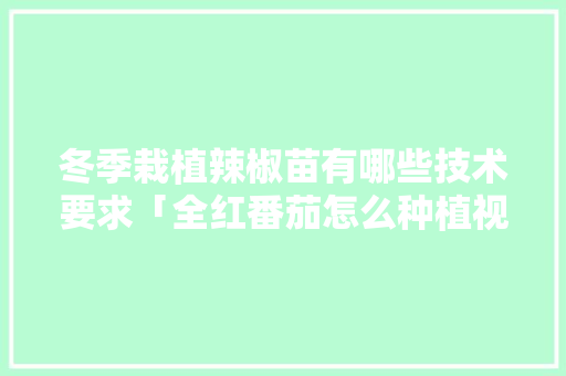 冬季栽植辣椒苗有哪些技术要求「全红番茄怎么种植视频」 冬季栽植辣椒苗有哪些技术要求「全红番茄怎么种植视频」 番茄种植技巧