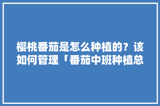 樱桃番茄是怎么种植的？该如何管理「番茄中班种植总结怎么写啊」 樱桃番茄是怎么种植的？该如何管理「番茄中班种植总结怎么写啊」 花朵知识