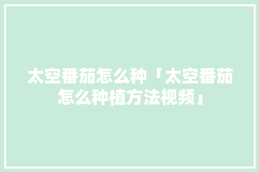 太空番茄怎么种「太空番茄怎么种植方法视频」