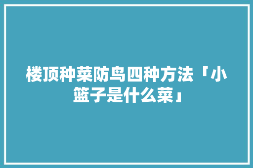 楼顶种菜防鸟四种方法「小篮子是什么菜」 楼顶种菜防鸟四种方法「小篮子是什么菜」 植物种类
