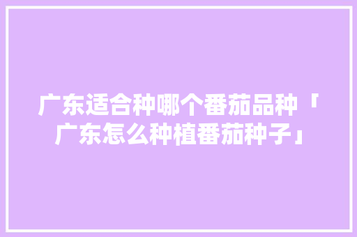 广东适合种哪个番茄品种「广东怎么种植番茄种子」