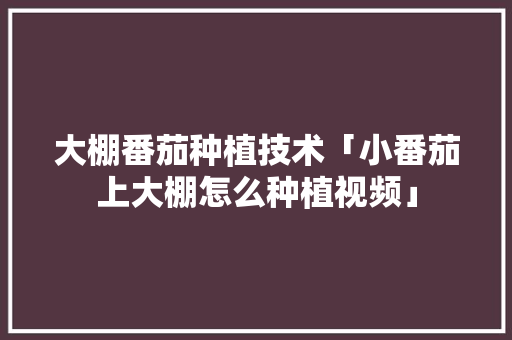 大棚番茄种植技术「小番茄上大棚怎么种植视频」 番茄种植技巧 大棚番茄种植技术「小番茄上大棚怎么种植视频」 大棚番茄种植技术「小番茄上大棚怎么种植视频」 番茄种植技巧