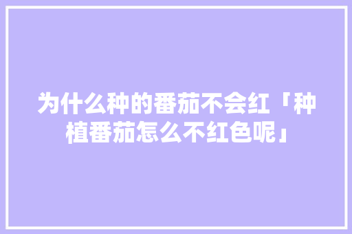 为什么种的番茄不会红「种植番茄怎么不红色呢」 为什么种的番茄不会红「种植番茄怎么不红色呢」 番茄病虫害防治