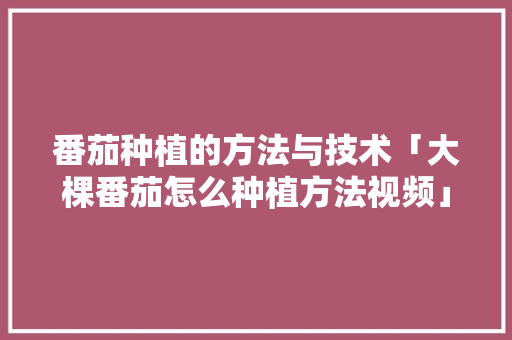 番茄种植的方法与技术「大棵番茄怎么种植方法视频」 番茄种植的方法与技术「大棵番茄怎么种植方法视频」 番茄病虫害防治