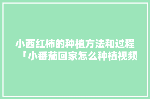 小西红柿的种植方法和过程「小番茄回家怎么种植视频」 小西红柿的种植方法和过程「小番茄回家怎么种植视频」 番茄病虫害防治