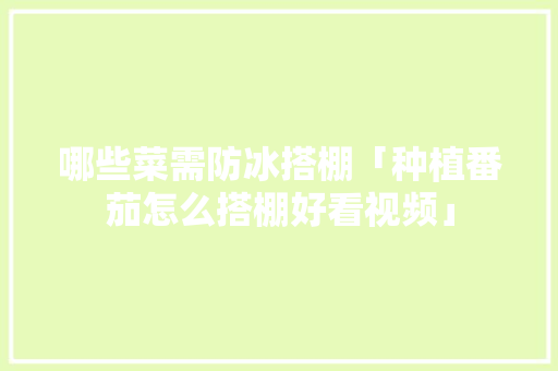 哪些菜需防冰搭棚「种植番茄怎么搭棚好看视频」