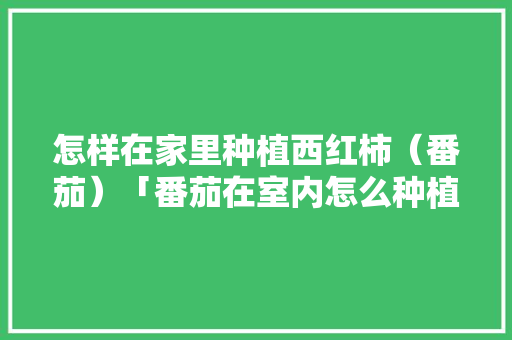 怎样在家里种植西红柿（番茄）「番茄在室内怎么种植呢视频」 怎样在家里种植西红柿（番茄）「番茄在室内怎么种植呢视频」 番茄病虫害防治