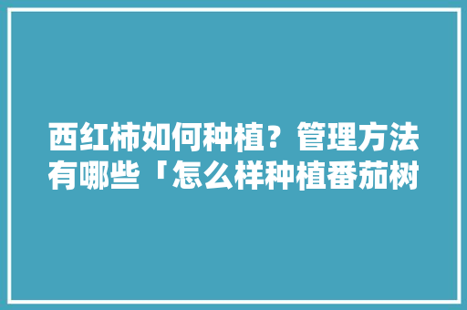 西红柿如何种植？管理方法有哪些「怎么样种植番茄树视频」 西红柿如何种植？管理方法有哪些「怎么样种植番茄树视频」 番茄病虫害防治
