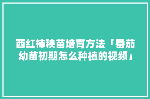 西红柿秧苗培育方法「番茄幼苗初期怎么种植的视频」 西红柿秧苗培育方法「番茄幼苗初期怎么种植的视频」 花朵知识