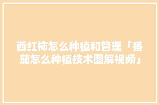 西红柿怎么种植和管理「番茄怎么种植技术图解视频」 番茄病虫害防治 西红柿怎么种植和管理「番茄怎么种植技术图解视频」 西红柿怎么种植和管理「番茄怎么种植技术图解视频」 番茄病虫害防治