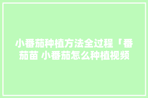 小番茄种植方法全过程「番茄苗 小番茄怎么种植视频」 小番茄种植方法全过程「番茄苗 小番茄怎么种植视频」 种植技巧