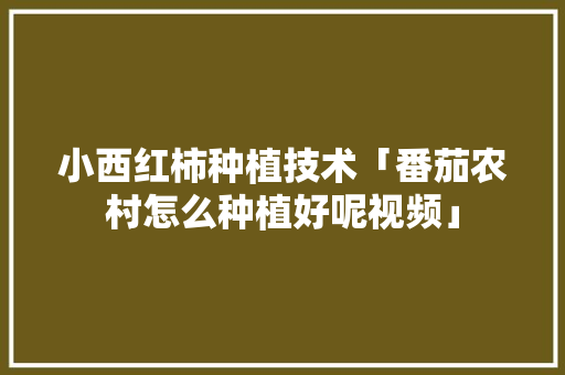 小西红柿种植技术「番茄农村怎么种植好呢视频」 小西红柿种植技术「番茄农村怎么种植好呢视频」 农业常识