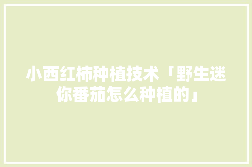 小西红柿种植技术「野生迷你番茄怎么种植的」 小西红柿种植技术「野生迷你番茄怎么种植的」 番茄种植技巧