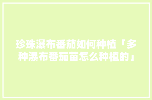 珍珠瀑布番茄如何种植「多种瀑布番茄苗怎么种植的」 珍珠瀑布番茄如何种植「多种瀑布番茄苗怎么种植的」 土壤施肥