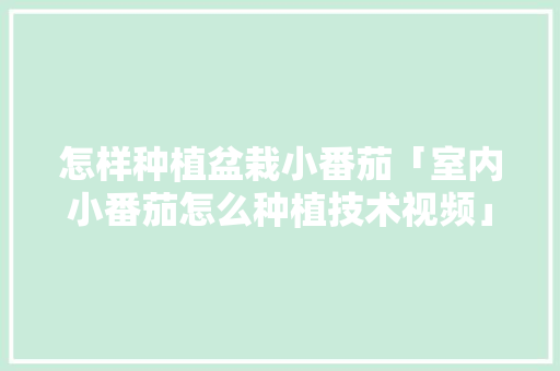 怎样种植盆栽小番茄「室内小番茄怎么种植技术视频」 怎样种植盆栽小番茄「室内小番茄怎么种植技术视频」 番茄种植技巧