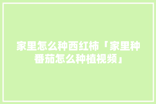 家里怎么种西红柿「家里种番茄怎么种植视频」 家里怎么种西红柿「家里种番茄怎么种植视频」 种植技巧