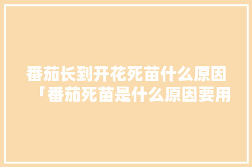 番茄长到开花死苗什么原因「番茄死苗是什么原因要用什么农药治」 种植技巧 番茄长到开花死苗什么原因「番茄死苗是什么原因要用什么农药治」 番茄长到开花死苗什么原因「番茄死苗是什么原因要用什么农药治」 种植技巧