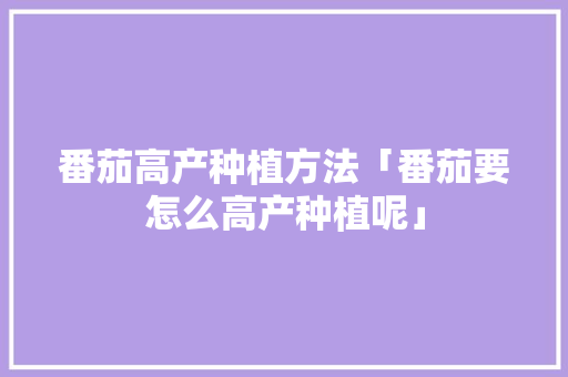 番茄高产种植方法「番茄要怎么高产种植呢」