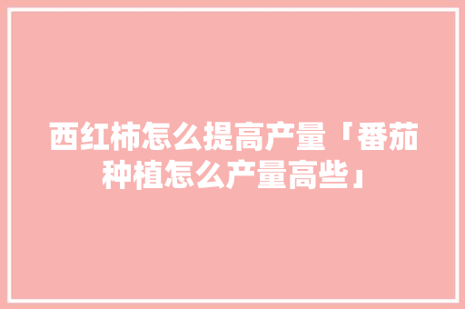 西红柿怎么提高产量「番茄种植怎么产量高些」 西红柿怎么提高产量「番茄种植怎么产量高些」 花朵知识