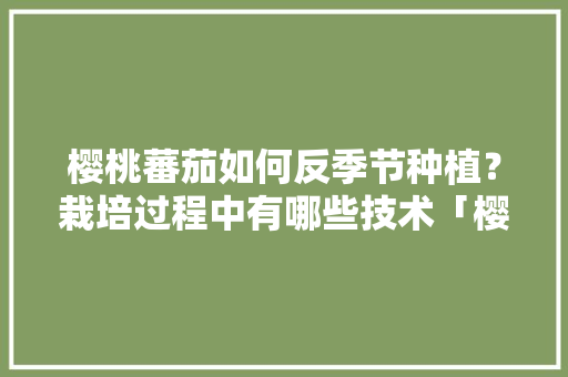 樱桃蕃茄如何反季节种植？栽培过程中有哪些技术「樱桃番茄要怎么种植视频」 樱桃蕃茄如何反季节种植？栽培过程中有哪些技术「樱桃番茄要怎么种植视频」 花朵知识