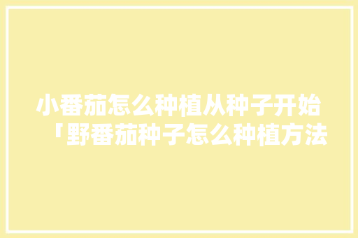 小番茄怎么种植从种子开始「野番茄种子怎么种植方法视频」 小番茄怎么种植从种子开始「野番茄种子怎么种植方法视频」 花朵知识