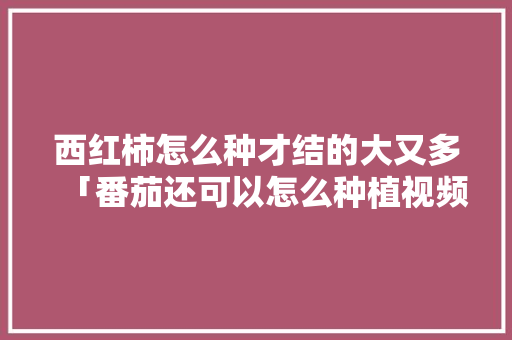 西红柿怎么种才结的大又多「番茄还可以怎么种植视频教程」 西红柿怎么种才结的大又多「番茄还可以怎么种植视频教程」 土壤施肥