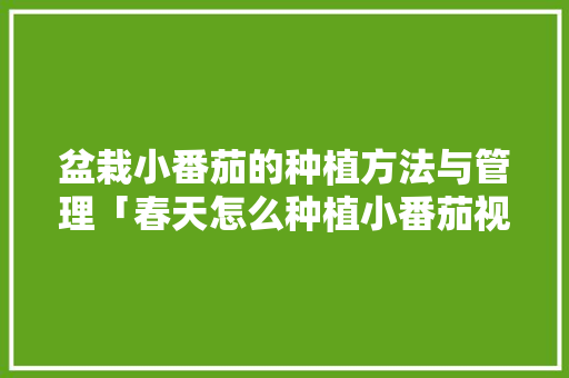 盆栽小番茄的种植方法与管理「春天怎么种植小番茄视频」 盆栽小番茄的种植方法与管理「春天怎么种植小番茄视频」 植物种类