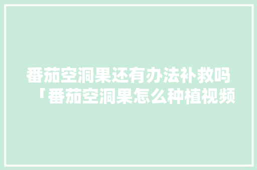 番茄空洞果还有办法补救吗「番茄空洞果怎么种植视频」