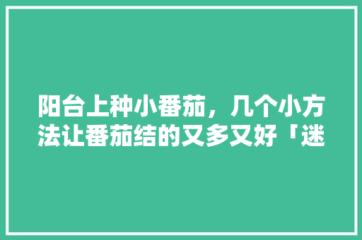 阳台上种小番茄，几个小方法让番茄结的又多又好「迷你番茄怎么种植方法视频」 阳台上种小番茄，几个小方法让番茄结的又多又好「迷你番茄怎么种植方法视频」 番茄病虫害防治
