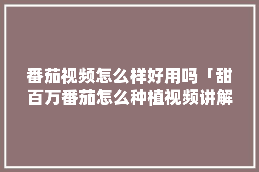 番茄视频怎么样好用吗「甜百万番茄怎么种植视频讲解」 植物种类 番茄视频怎么样好用吗「甜百万番茄怎么种植视频讲解」 番茄视频怎么样好用吗「甜百万番茄怎么种植视频讲解」 植物种类