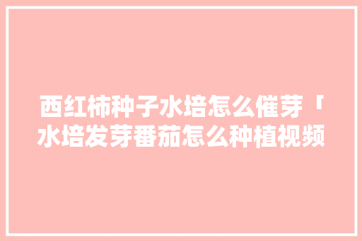 西红柿种子水培怎么催芽「水培发芽番茄怎么种植视频」 土壤施肥 西红柿种子水培怎么催芽「水培发芽番茄怎么种植视频」 西红柿种子水培怎么催芽「水培发芽番茄怎么种植视频」 土壤施肥