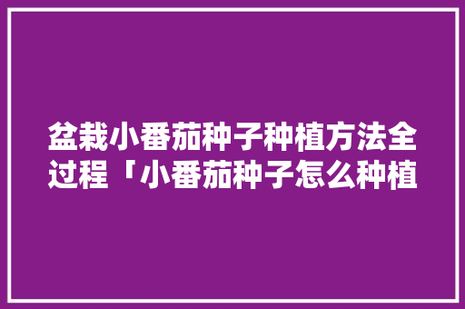 盆栽小番茄种子种植方法全过程「小番茄种子怎么种植方法如下」 盆栽小番茄种子种植方法全过程「小番茄种子怎么种植方法如下」 土壤施肥
